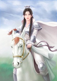 碧血收美传