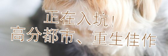 酥麻入骨！高分言情都市佳作